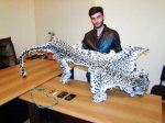 В Азербайджане убивший леопарда человек хотел продать его шкуру за 15 тысяч манатов