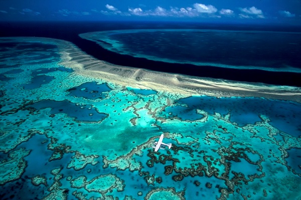 В 2016 году погибла почти треть кораллов Большого Барьерного рифа