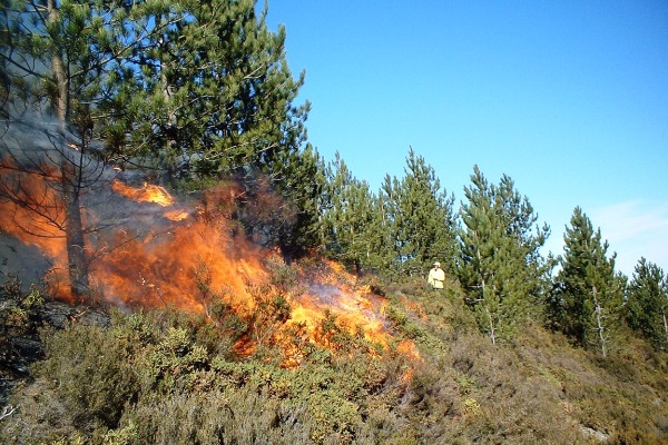 Пожар на территории Шахдагского национального парка потушен [Фото][Видео][Обновлено]