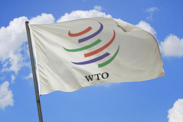 В переговорах в связи с ВТО серьезного прогресса нет