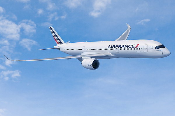 Аэробус Air France экстренно сел в Канаде из-за отказа двигателя