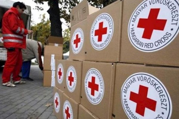Красный Крест признал пропажу пожертвований на $5 млн