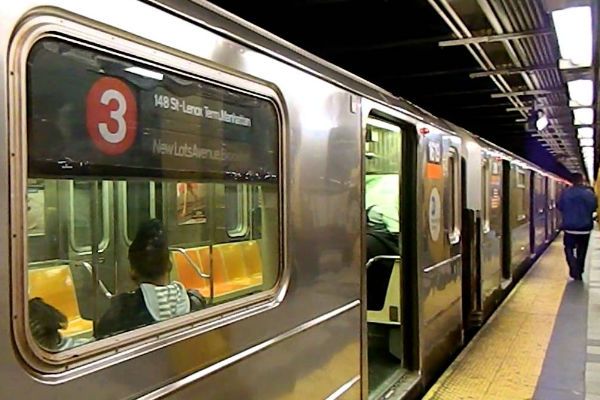 Крыса в вагоне нью-йоркского метро вызвала панику у пассажиров 