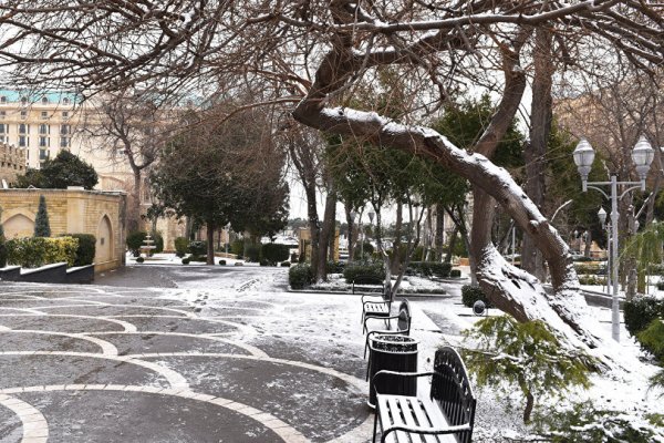 Институт географии: Отсутствие зимой снега в Баку связано с климатическими изменениями