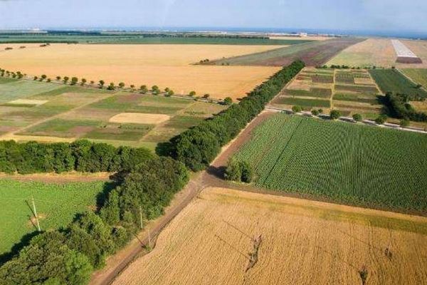 В Азербайджане вернули в повторное использование 255 тыс. га площадей для сельскохозяйственной деятельности