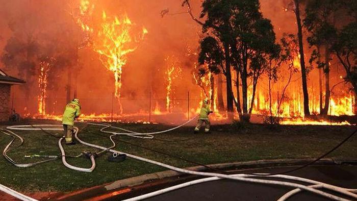 Австралия направит тысячи военных на тушение лесных пожаров