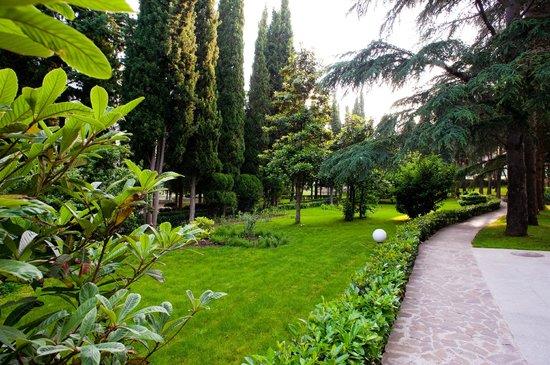 Глава ИВ Баку: Готовится новый проект Центрального ботанического сада